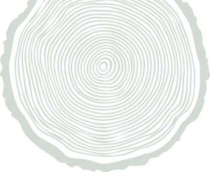木のイラスト